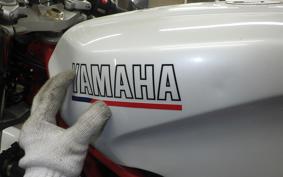 YAMAHA TRX850 1996 4NX