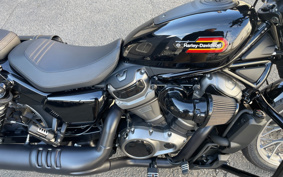 HARLEY RH975S NIGHT STAR 2024 ZF1
