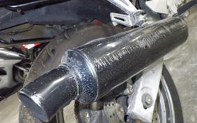 YAMAHA FZR250 Gen.2 R 2009 3LN