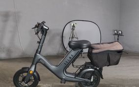 OTHER MINI BIKE ..