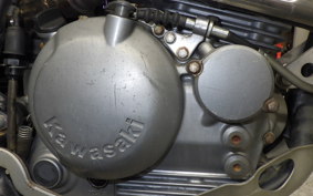 KAWASAKI SUPER SHERPA 2020 KL250G