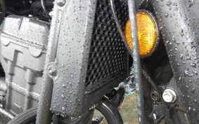HONDA REBEL 250 A MC49