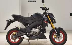KAWASAKI Z125 PRO BR125H