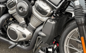 HARLEY  HARLEY RH975S NIGHT  STAR  2023 ZF1