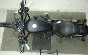 HARLEY XL883N 2010