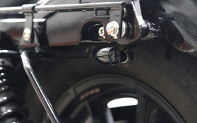 HARLEY XL1200NS 2021 LP3