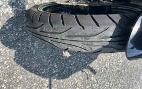 KAWASAKI NINJA 250 EX250P