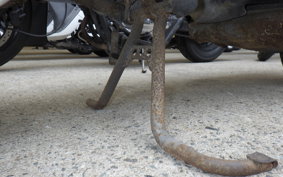 OTHER +RABBIT125 2023 S301