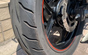 KAWASAKI NINJA 250R EX250K