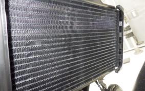 HUSQVARNA SVARTPILEN 250