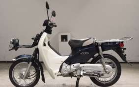 HONDA C110 SUPER CUB 2008 JA10