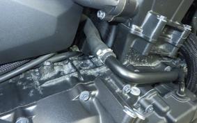 HONDA REBEL 1100 DCT 2021 SC83