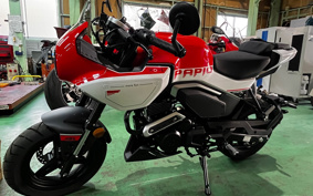 OTHER CFMOTO XO-1 PAPIO