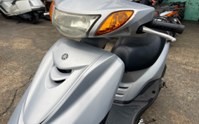 YAMAHA AKUSHI STREET SE53J