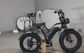 OTHER MINI BIKE ..