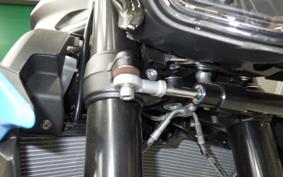 BMW S1000R 2025