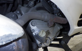 HONDA FORESIGHT 2008 MF04