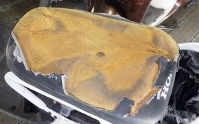 HONDA ZOOMER 2021 AF58