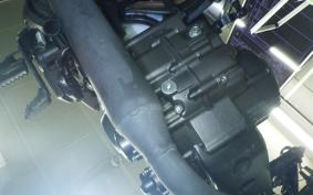 HONDA CL250-2 2018 MC57