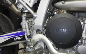 YAMAHA WR250R 2022 DG15J