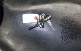 KAWASAKI ELIMINATOR 250 V VN250A