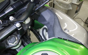 KAWASAKI VERSYS 250 A LE250D