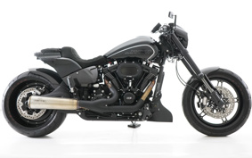 HARLEY FXDRS 2020 YVK