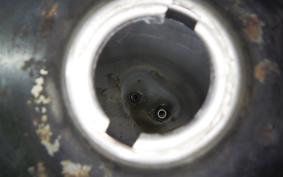 HONDA C50 SUPER CUB C50