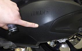 YAMAHA TRICITY 300 2021 SH15J