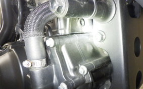HONDA REBEL 250 A MC49
