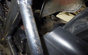 KAWASAKI W650 1999 EJ650A