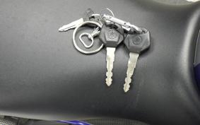 YAMAHA YZF-R25 RG10J