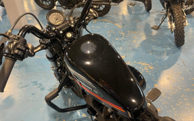 HARLEY XL1200XS 2019 LR3