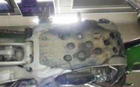 KAWASAKI KX250 F 2021 KX250Y