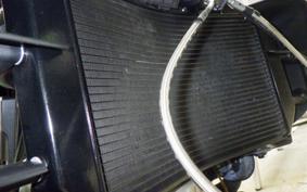 INDIAN FTR1200 2021