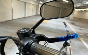 HARLEY XL1200X FINAL ED 2022 LC3