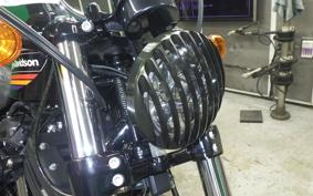 HARLEY XL1200XS 2019
