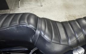 HARLEY XL883N 2021