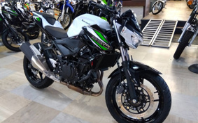 KAWASAKI Z250 EX250P