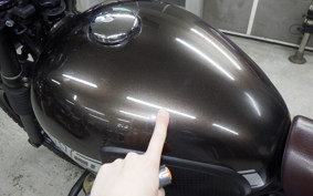 KAWASAKI W800 CAFE 2020 EJ800B