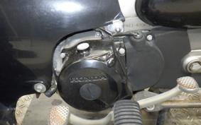 HONDA LITTLE CUB AA01