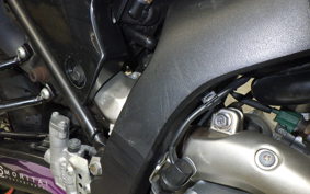 YAMAHA WR250X 2017 DG15J