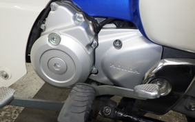 HONDA C110 SUPER CUB