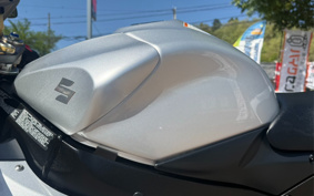 SUZUKI GSX-R600 2006 GN7DA
