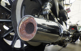 HARLEY XL883N 2015