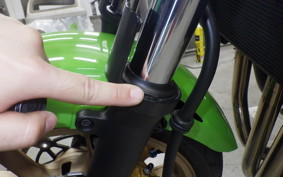 KAWASAKI ZRX1200 D 2015 ZRT20D