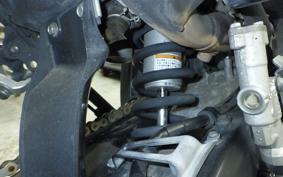YAMAHA WR250X 2009 DG15J