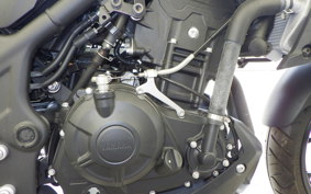 YAMAHA MT-25 A RG74J