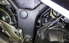 KAWASAKI NINJA 250 ABS EX250L