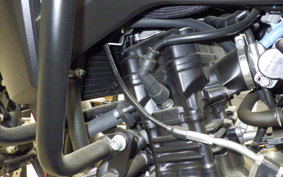 SUZUKI Vｽﾄﾛｰﾑ250 1996